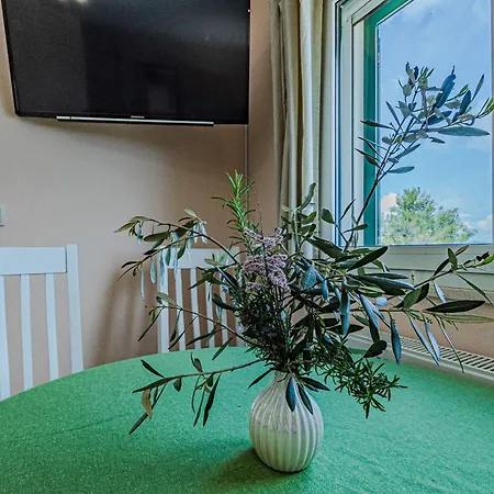 Silent Olive Garden * 벨라루카