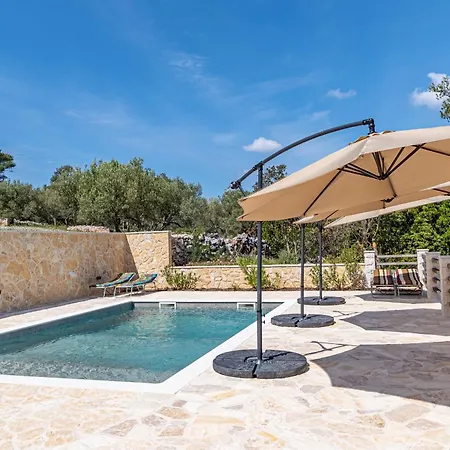 Silent Olive Garden ヴェラ・ルカ