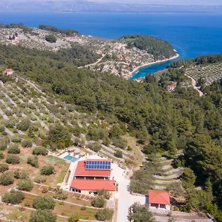 Silent Olive Garden ヴェラ・ルカ