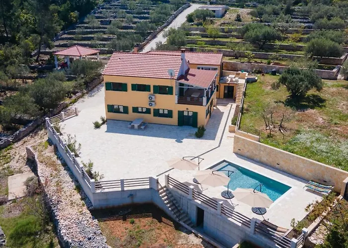 Silent Olive Garden * 尼亚卢卡