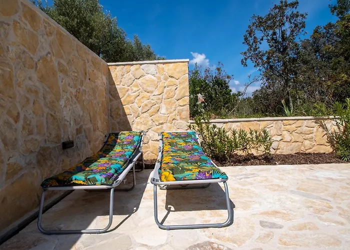 Silent Olive Garden * 尼亚卢卡