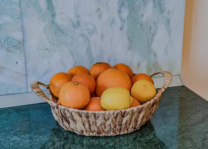 公寓 Silent Olive Garden 尼亚卢卡