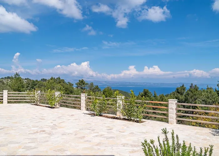 Silent Olive Garden 尼亚卢卡